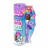 Barbie Cutie Reveal Dreamland Fantasy Teddy -LOL Surprise winkel 2010229